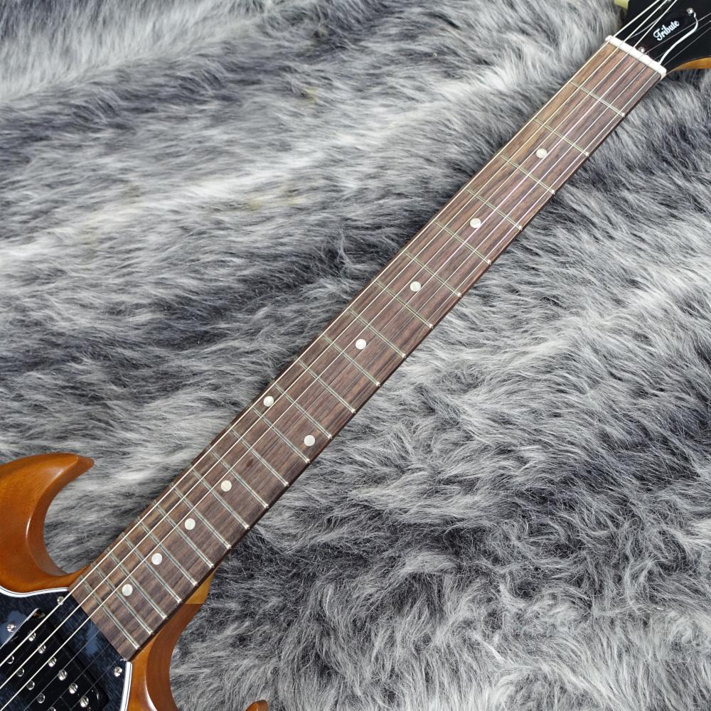 SG Standard Tribute 2019 Natural Walnut Gibson エレクトリック