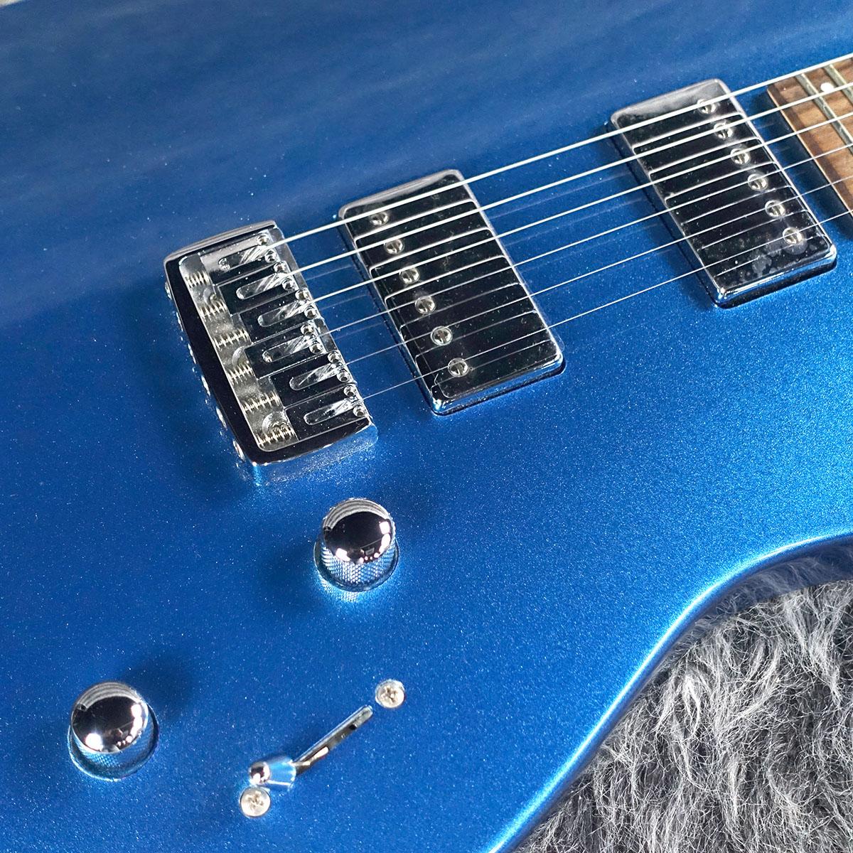 Trinity by Relish MTB Relish Guitars エレクトリックギター その他の