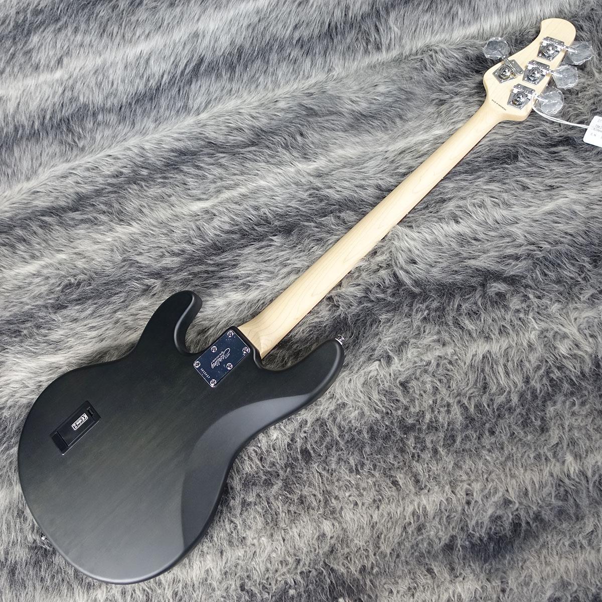 Sub Stingray Ray4 Trans Black Satin Sterling by MUSIC MAN