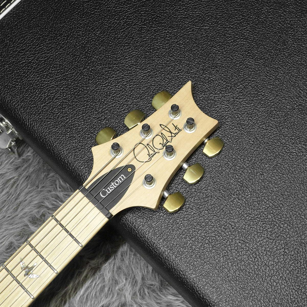 Custom 24 Swamp Ash / Maple 2016 Limited Slate Blue Paul Reed