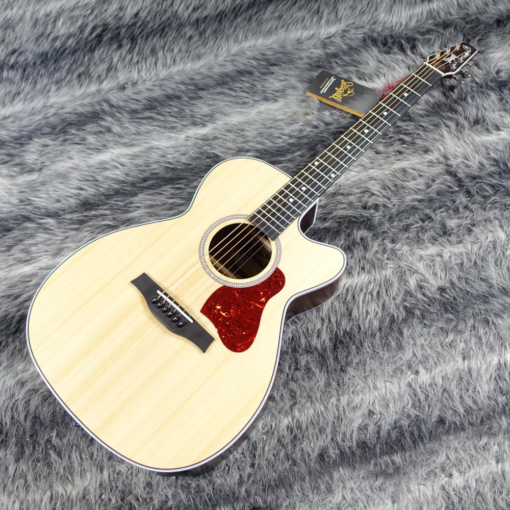 MARITIME SWS CH CW PRESYS II Seagull エレクトリック