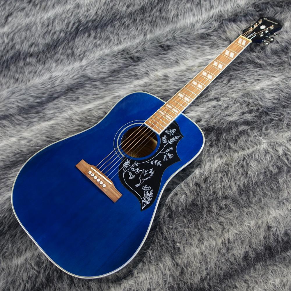 Limited Edition Hummingbird Pro Blue Burst 【B級特価品】 Epiphone 