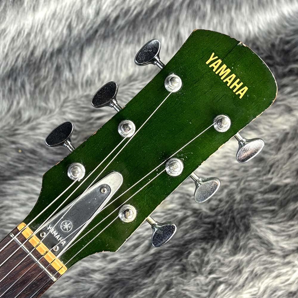 SA-30T Alga Green YAMAHA エレクトリックギター その他セミアコ 商品