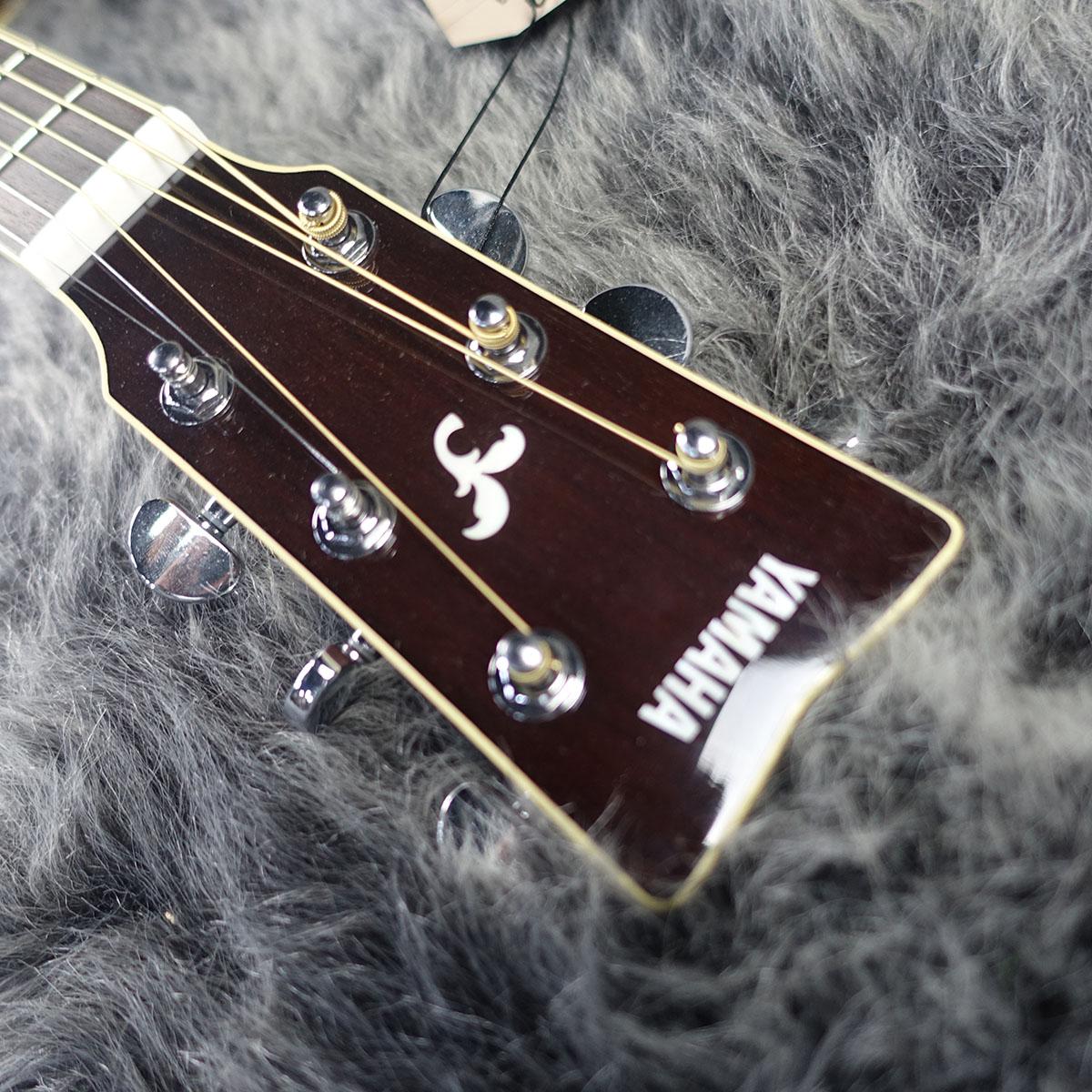 FS-830 DSR YAMAHA アコースティックギター フラットトップ 商品詳細