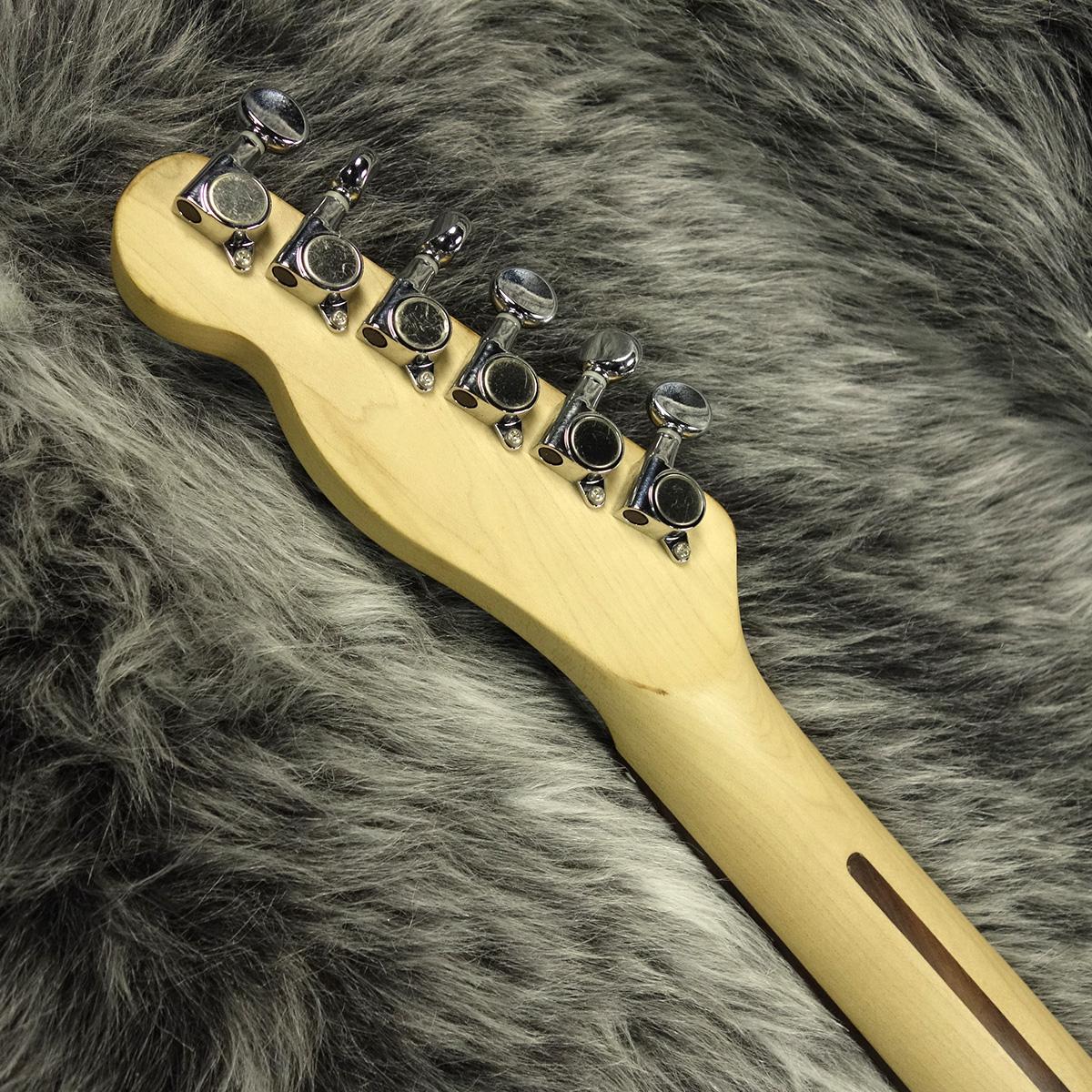 Telecoustic Blue Flower Fender エレクトリック・アコースティック