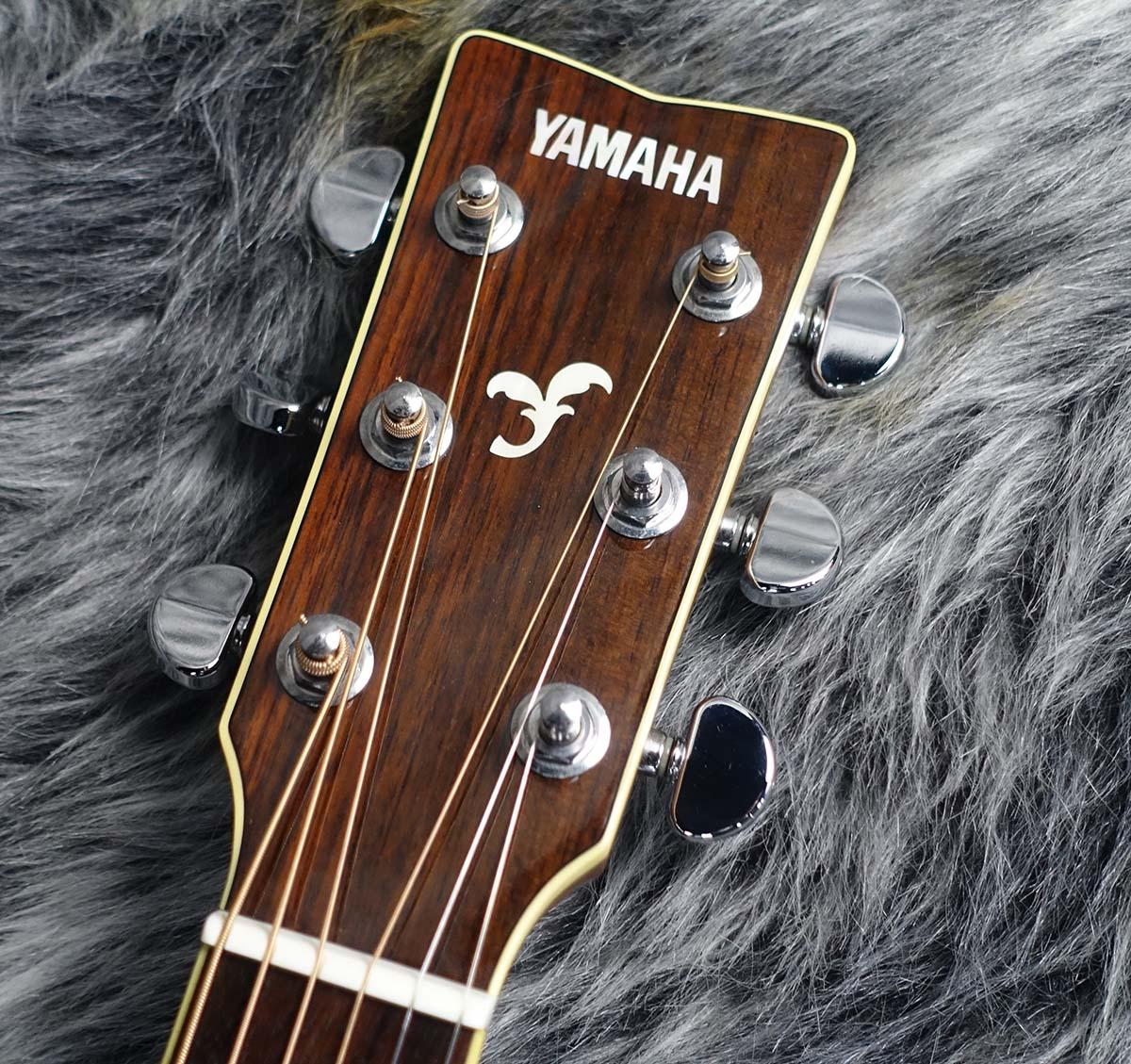 ヤマハ　エレアコ エレアコ / YAMAHA / ヤマハ アコースティックギター | 島村楽器