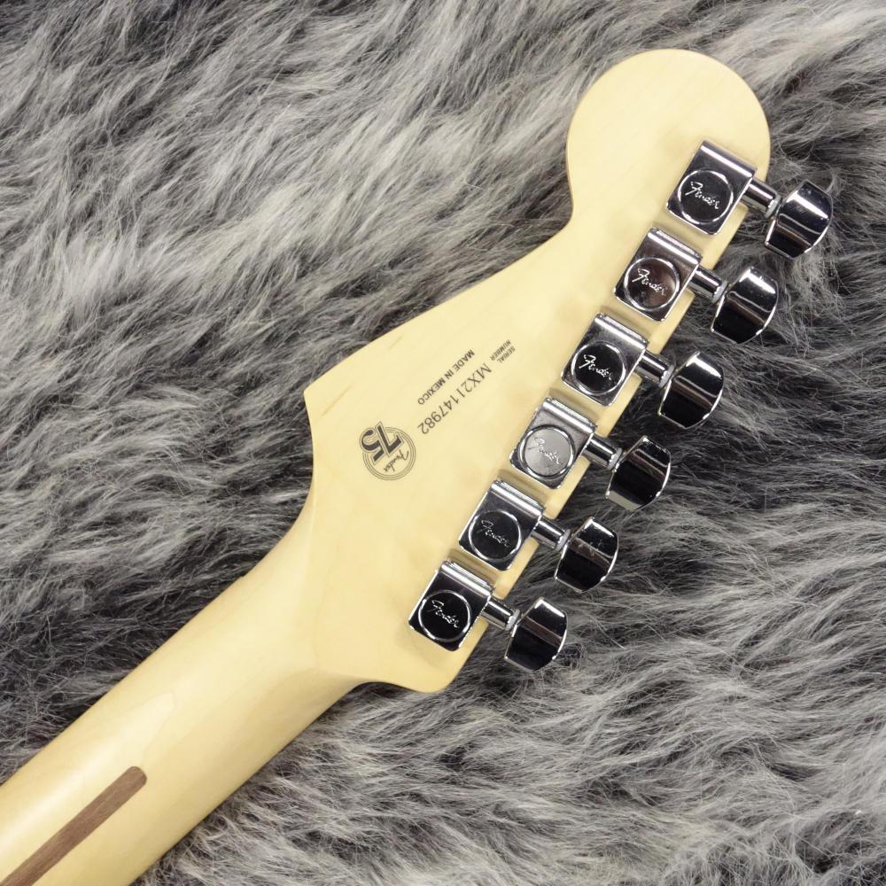 Player Stratocaster with Floyd Rose Polar White Fender