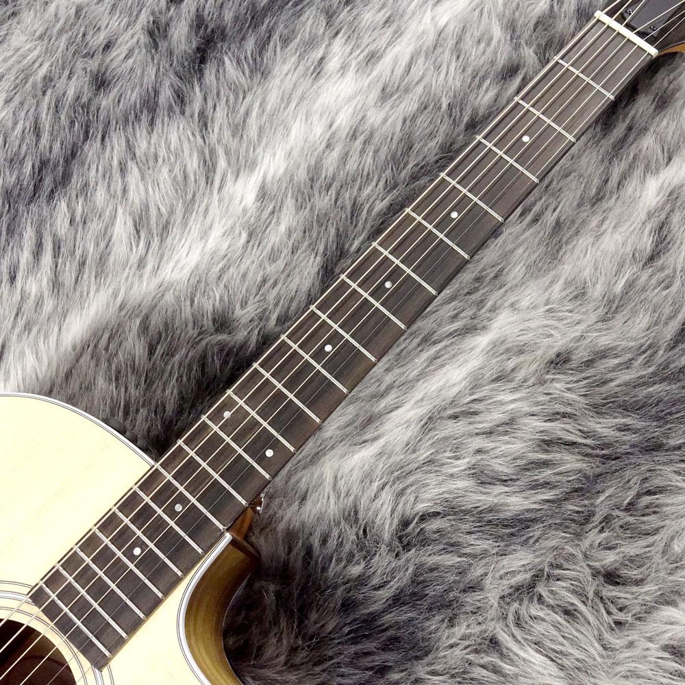 214ce-Koa Taylor アコースティックギター フラットトップ 商品詳細