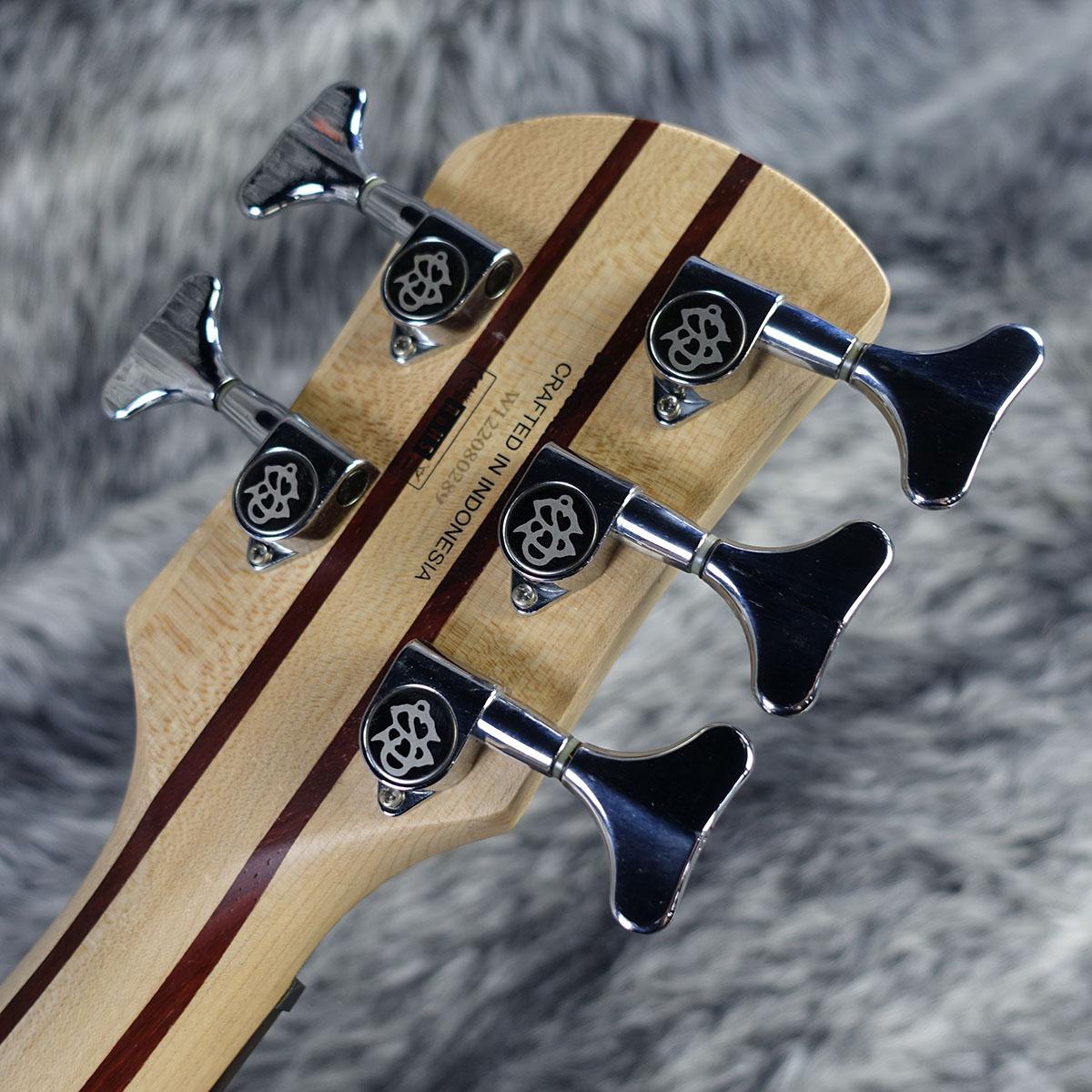 Legend 5 Standard Black Cherry Gloss Spector エレクトリック