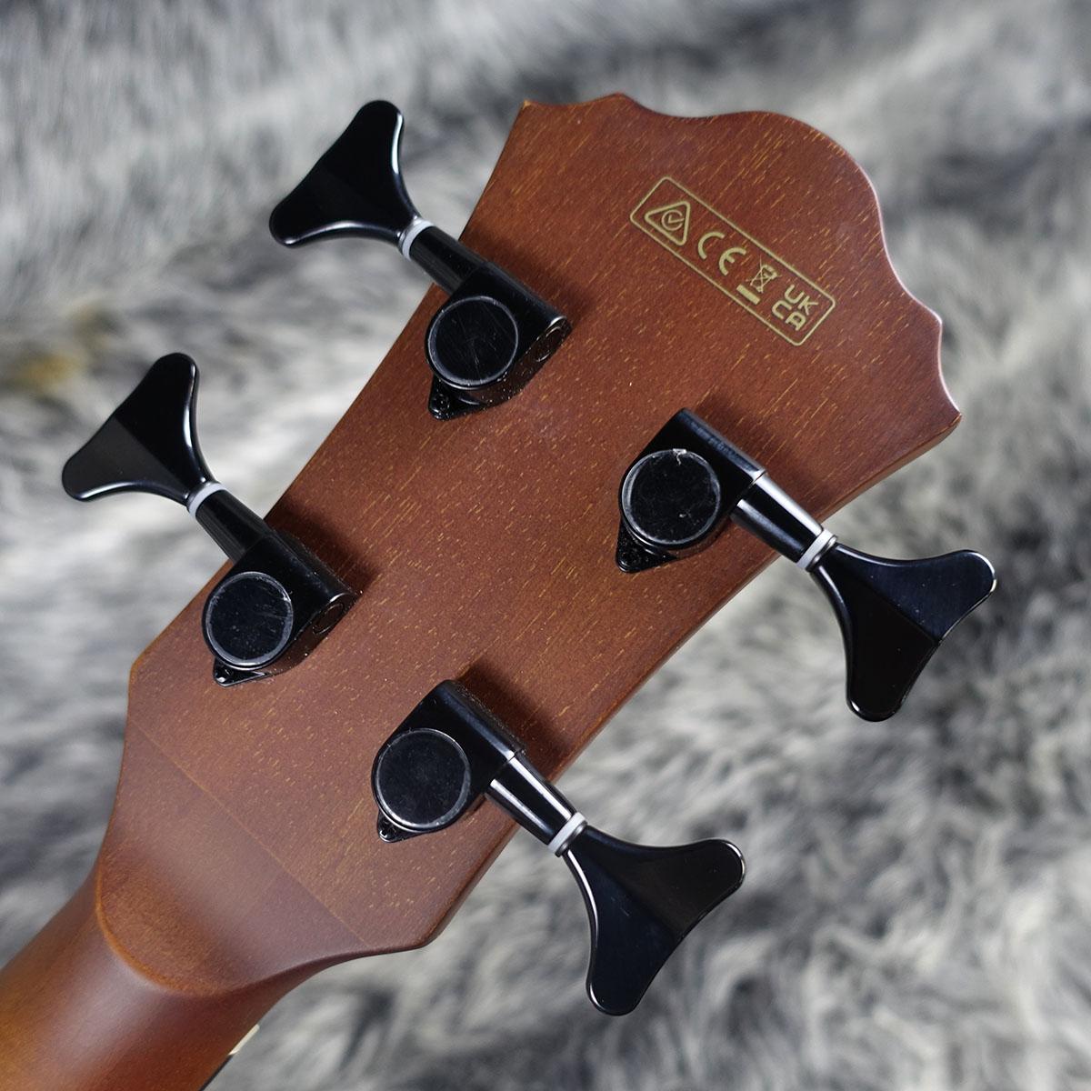 AEGB24E Mahogany Sunburst High Gloss Ibanez アコースティック