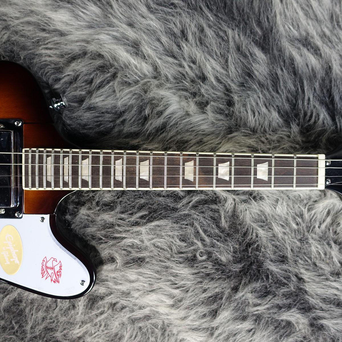 Mandobird Vintage Sunburst Epiphone バンジョー/マンドリン/ラップ
