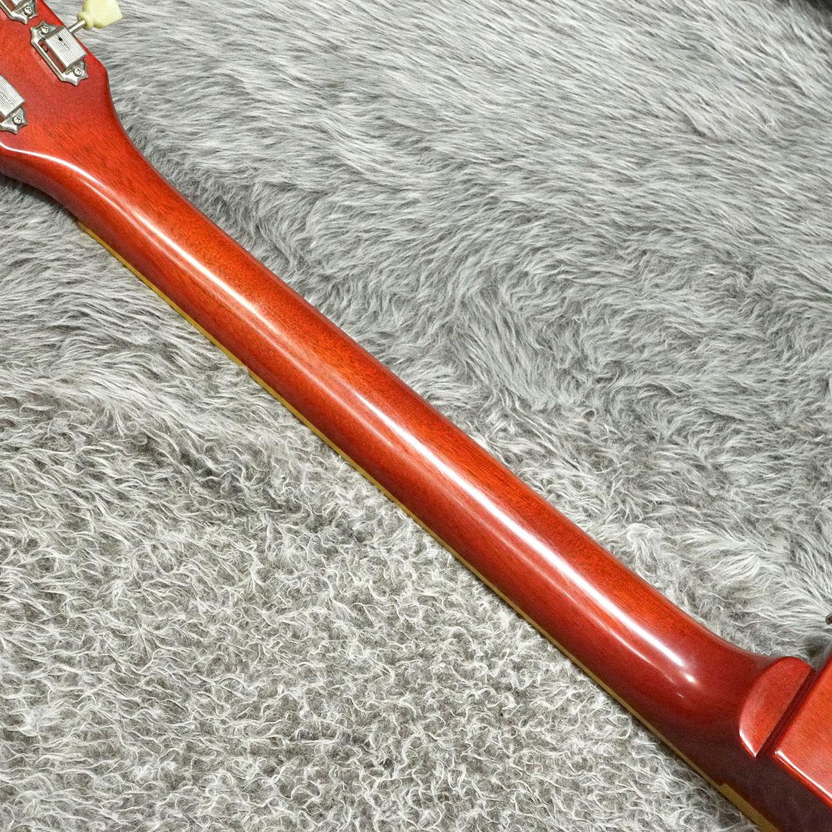 E-LP-98 Vintage Honey Burst Edwards エレクトリックギター レス