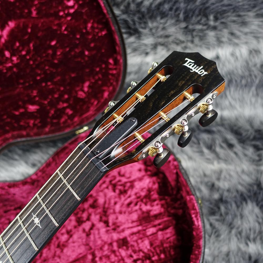 322e Blackwood 12Fret V-Class Taylor アコースティックギター