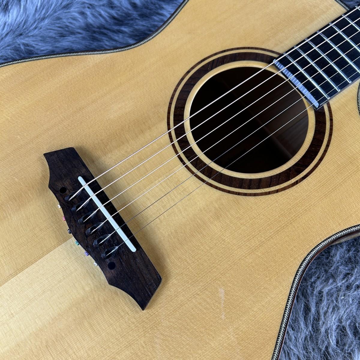 SPT-Artist/M Landscape アコースティックギター フラットトップ 商品