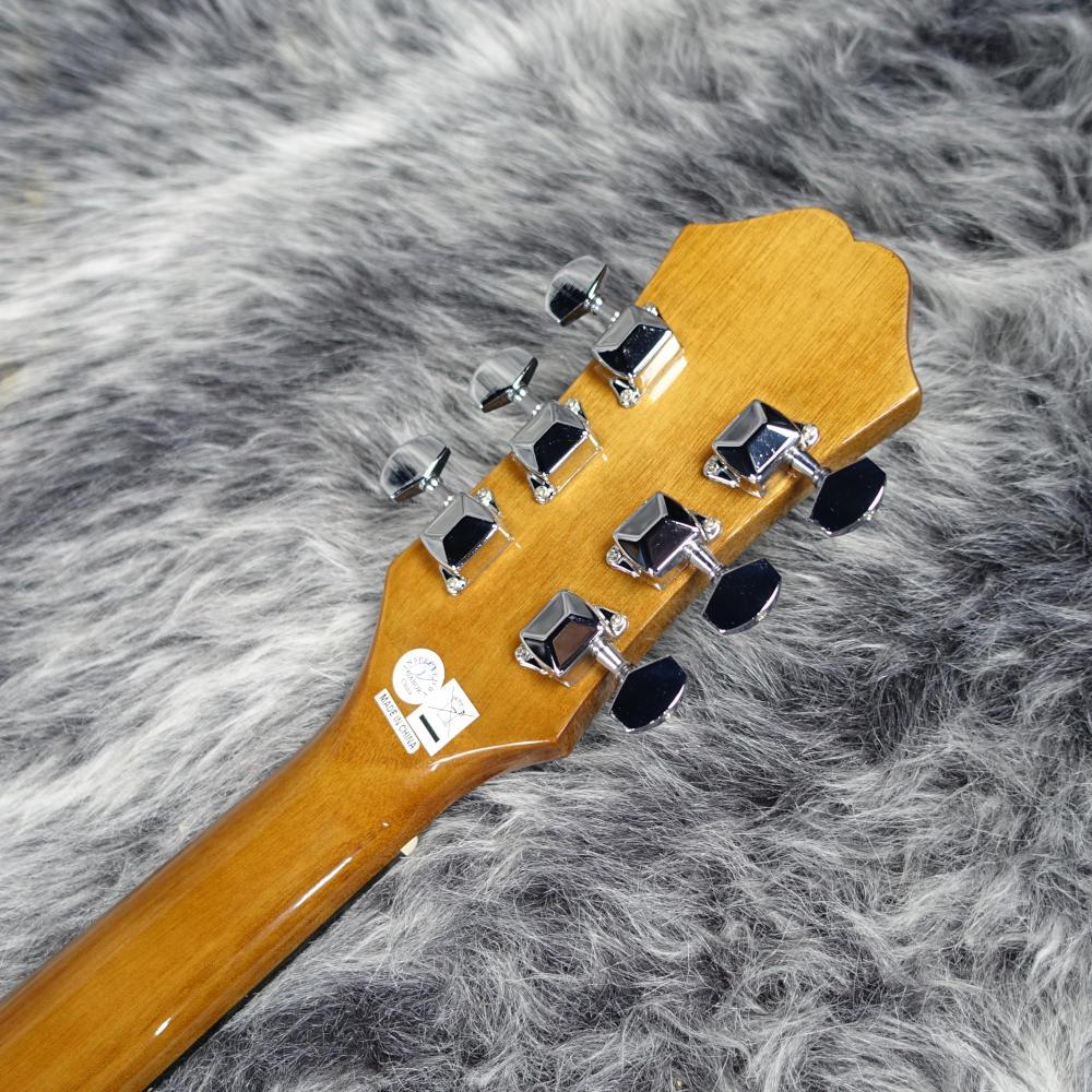 DR-100 VS Epiphone アコースティックギター フラットトップ 商品詳細