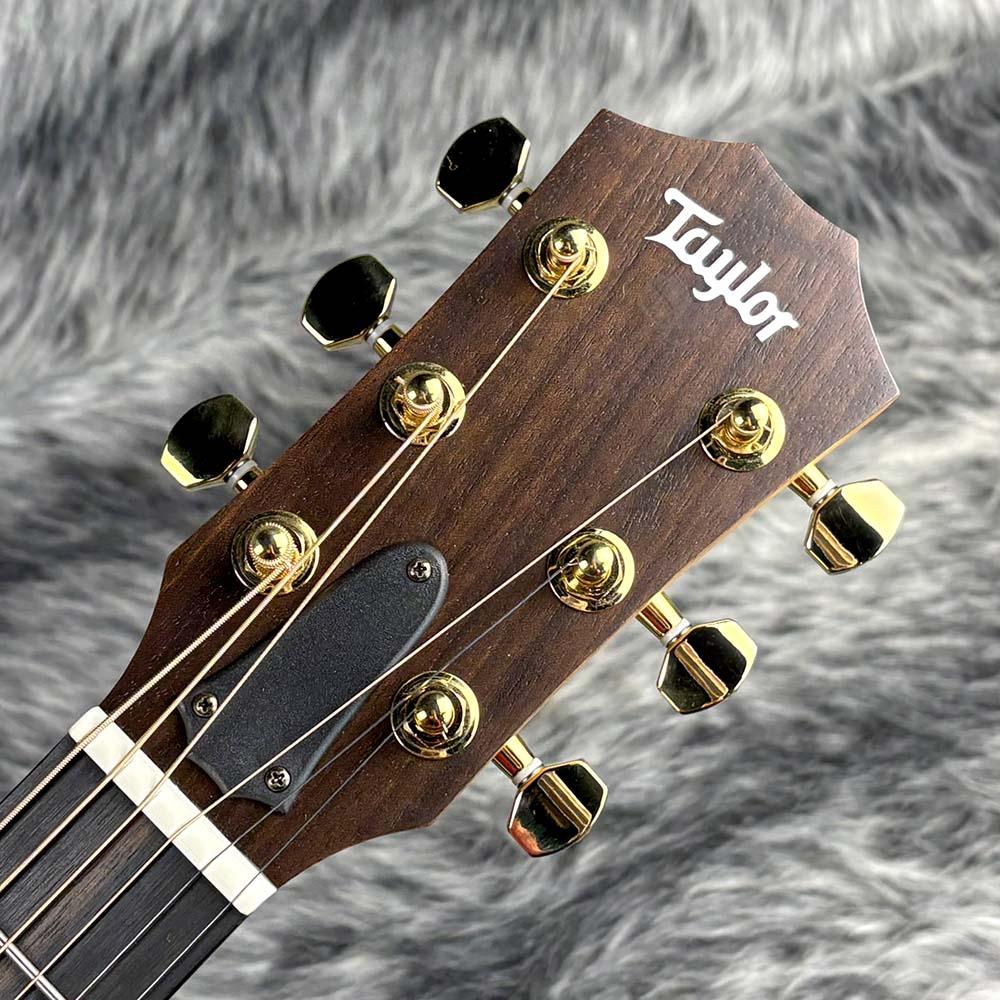 50th Anniversary GS Mini-e Rosewood LTD Taylor エレクトリック