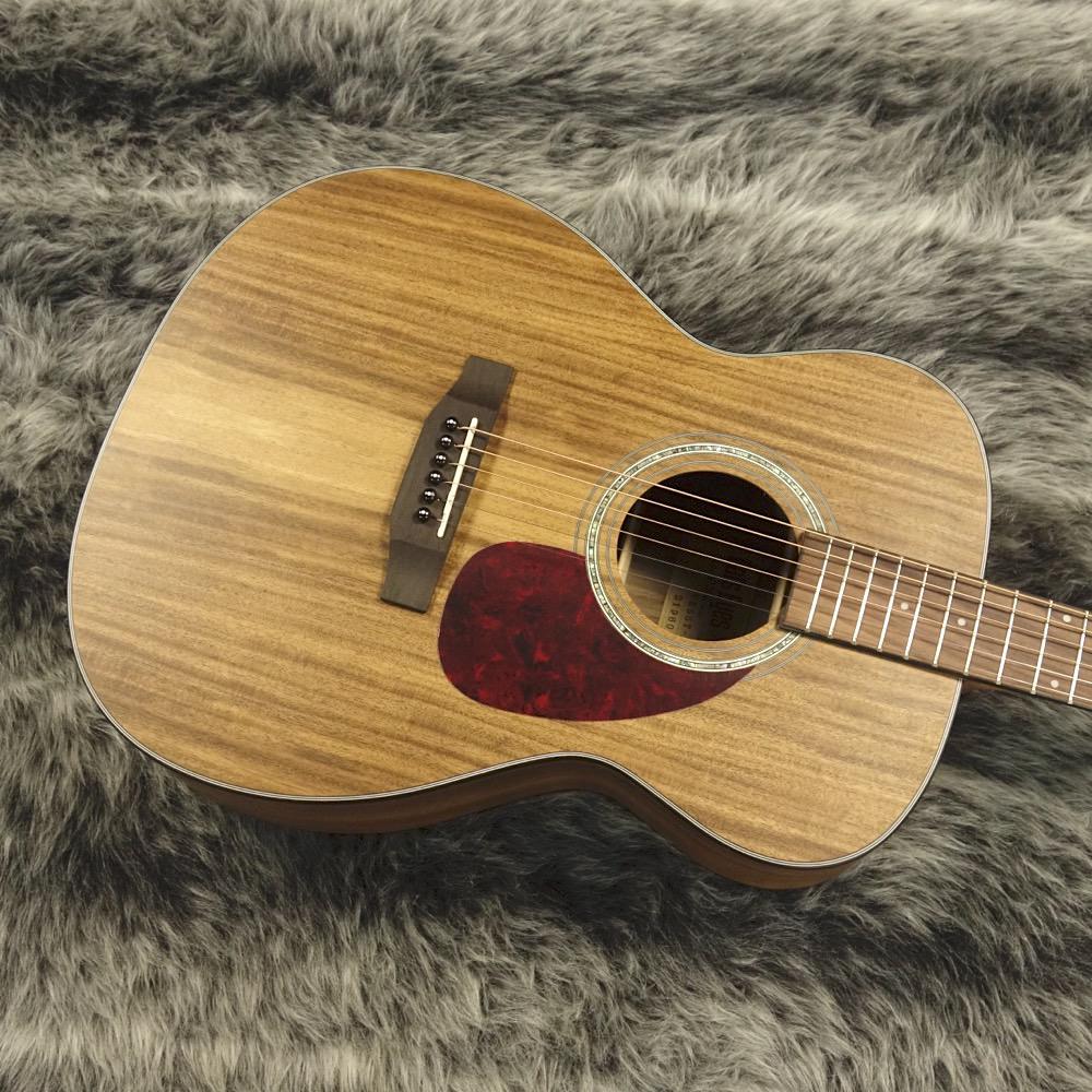 CE55T-K Cat's Eyes アコースティックギター フラットトップ 商品詳細