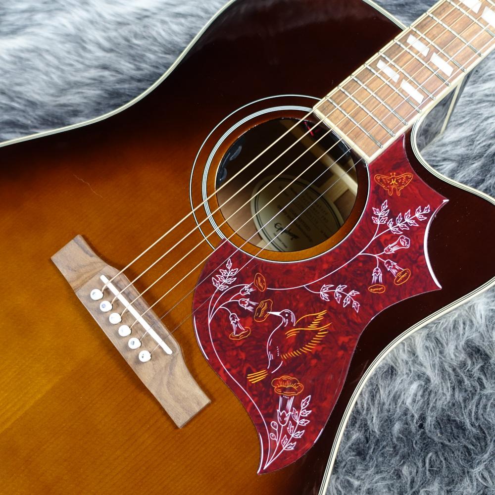 Limited Edition Hummingbird Performer Pro Tobacco Sunburst 【B級
