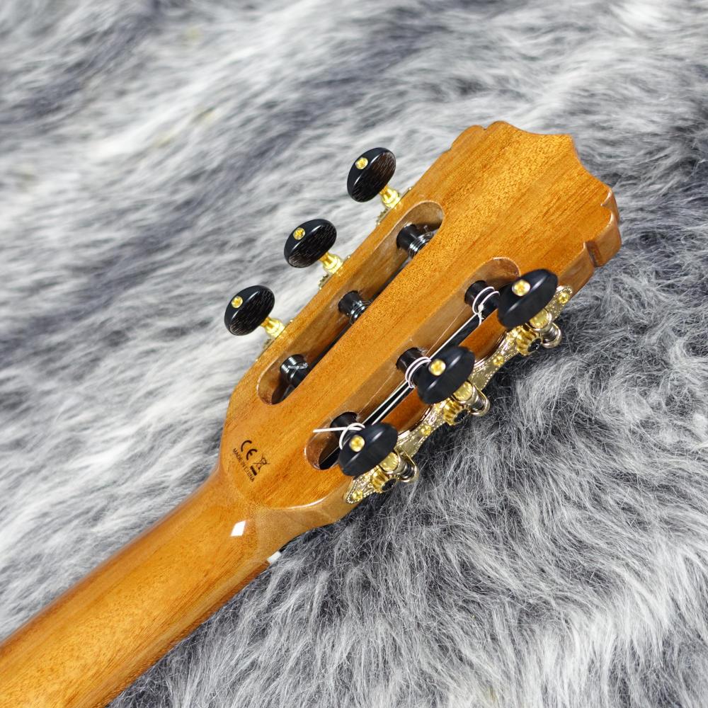 ARIA エレキ アコースティックギター A-48CE N ARIA エレクトリック・アコースティックギター エレガット
