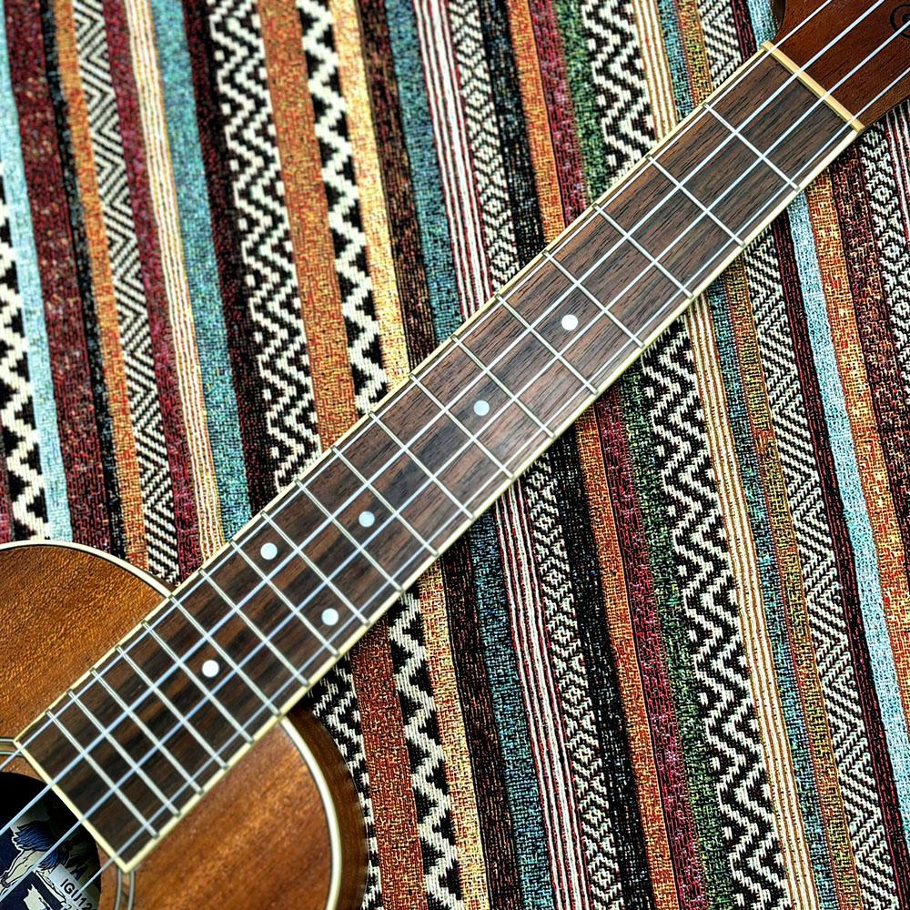Ukulele Mino'Aka Concert Mahogany Fender ウクレレ コンサート 商品