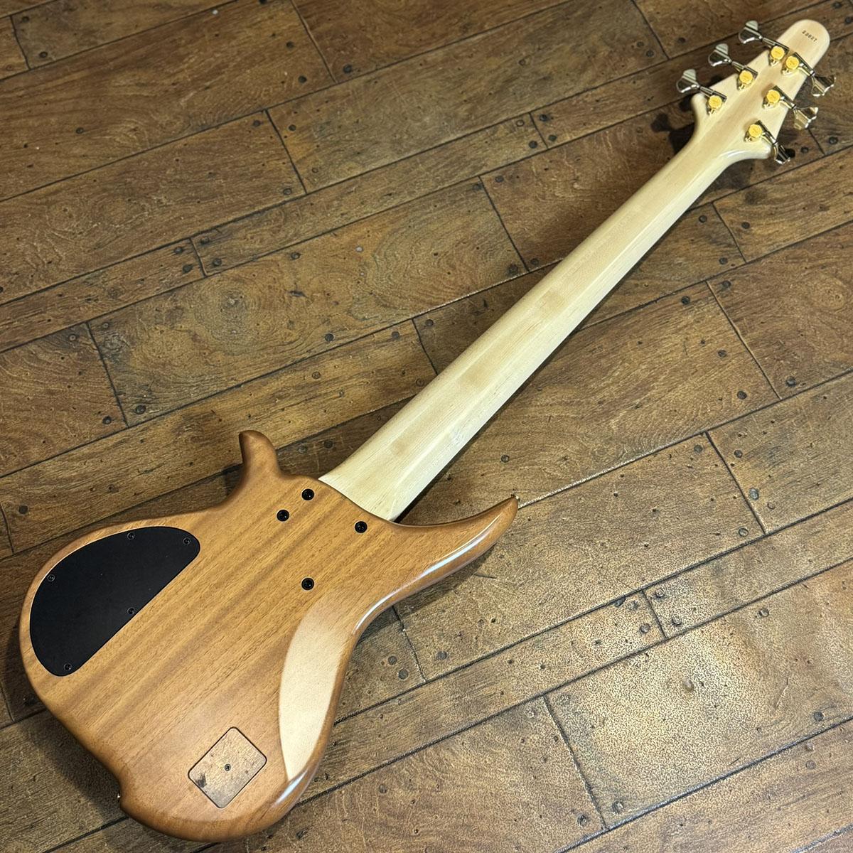 TWB-6 EX HYB-III Buckeye Burl Top Custom Pickups TUNE