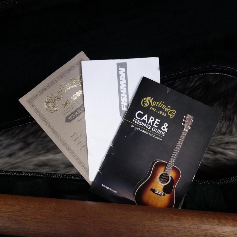 DRSG Natural Martin エレクトリック・アコースティックギター
