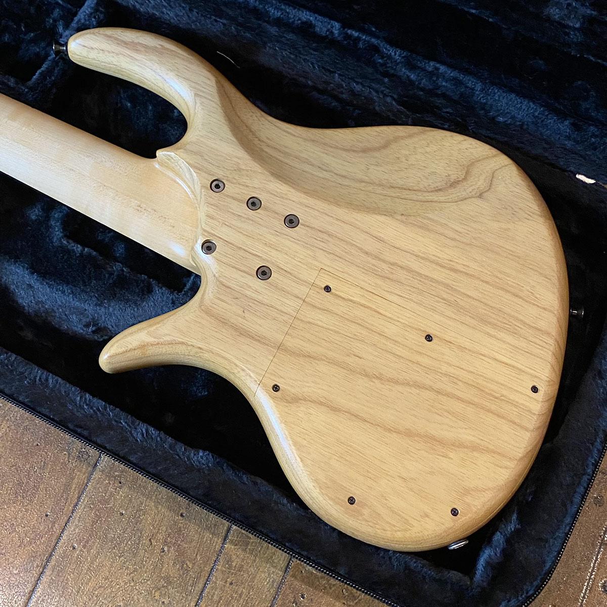 Gold Series e-volution Fretless 5st Spalted Maple Burl Top elrick