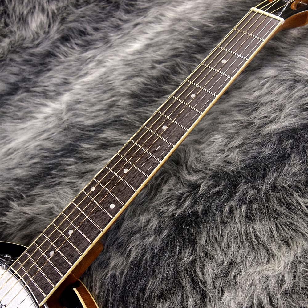 SB-10G Guitar Banjo ARIA バンジョー/マンドリン/ラップスティール