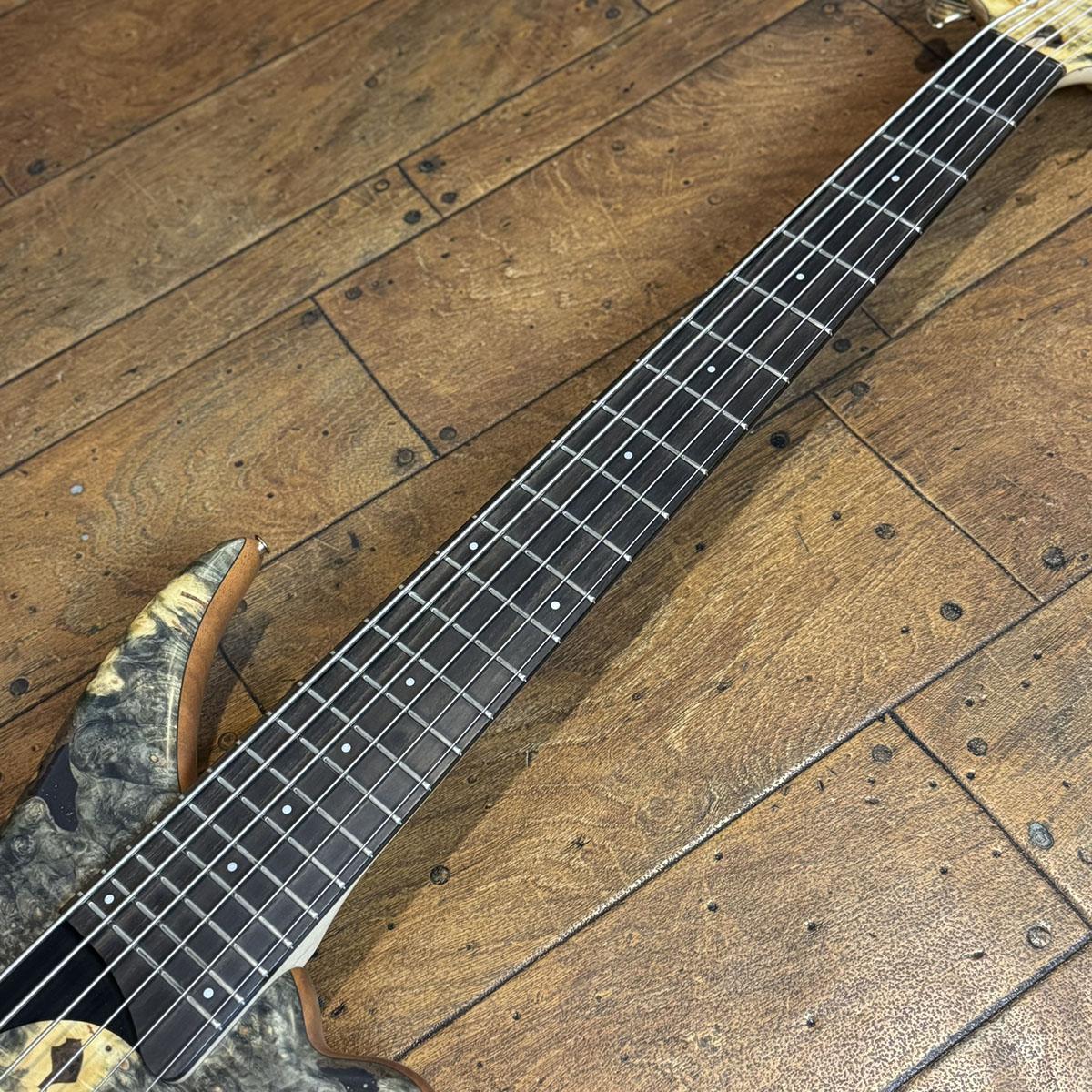 TWB-6 EX HYB-III Buckeye Burl Top Custom Pickups TUNE