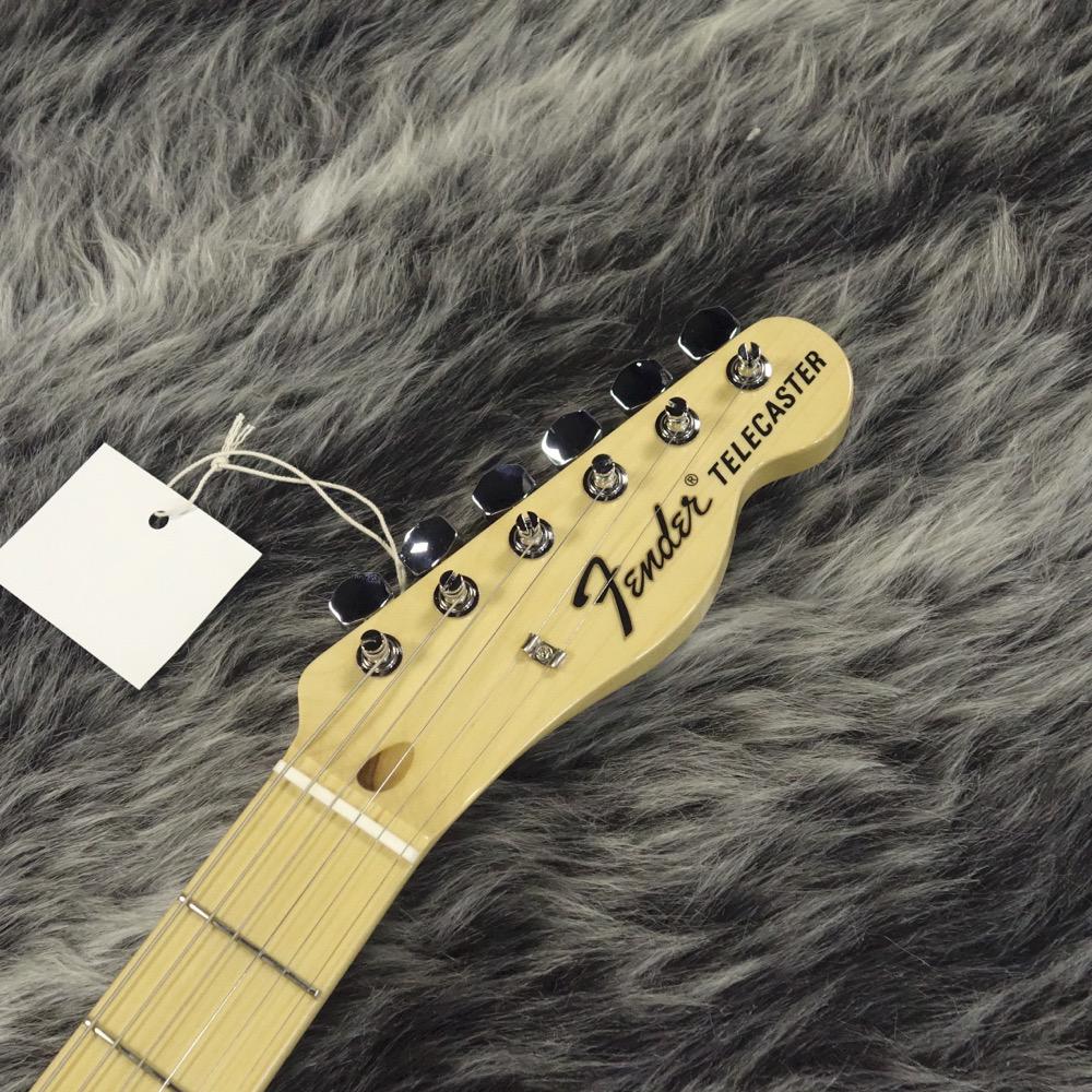 Made in Japan Limited F-Hole Telecaster Thinline Penny Fender
