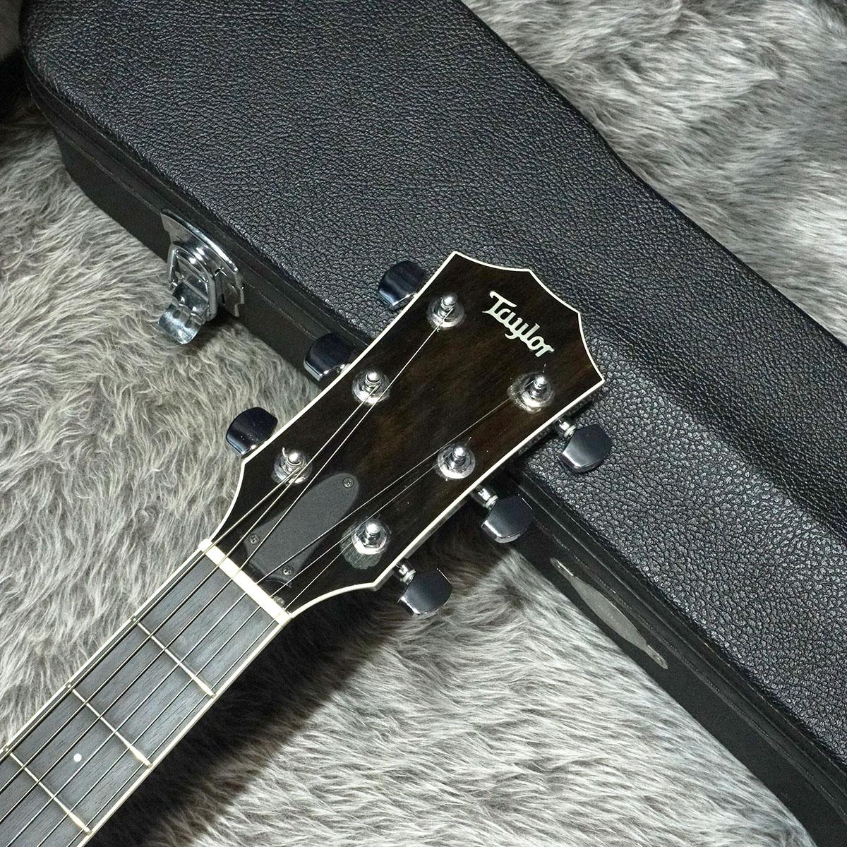 T5-S1 TPB 【2013年製】 Taylor エレクトリックギター その他の