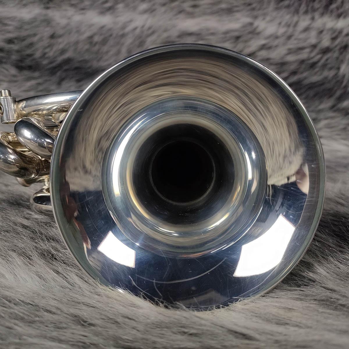 Pocket Trumpet 905 Pocket-Trumpet905 トランペット ポケット 商品