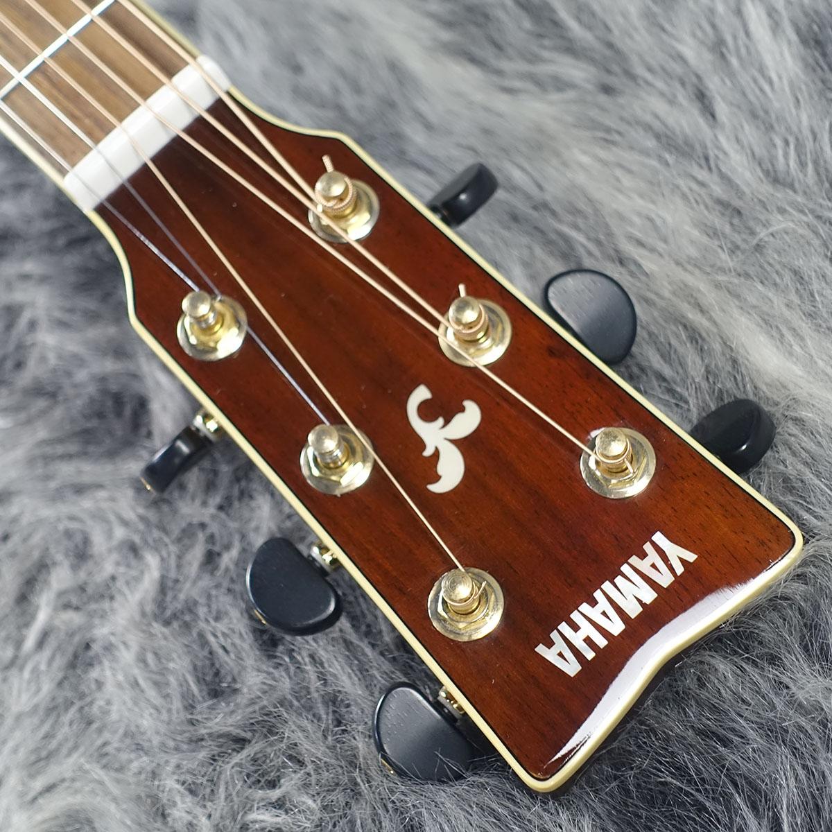 楽器 YAMAHA FJX905SC YAMAHA FJX905SC ヤマハ 【 水戸マイム店 】 | 島村楽器オンラインストア