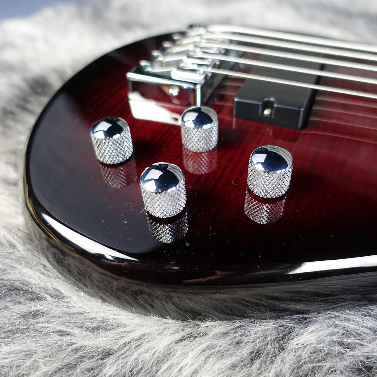 Legend 5 Standard Black Cherry Gloss Spector エレクトリック