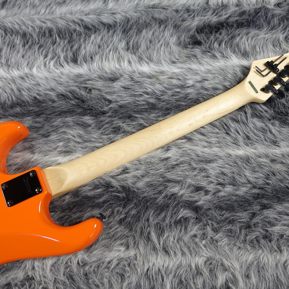 Pacer Vintage Orange Tiger 【アウトレット特価】 KRAMER
