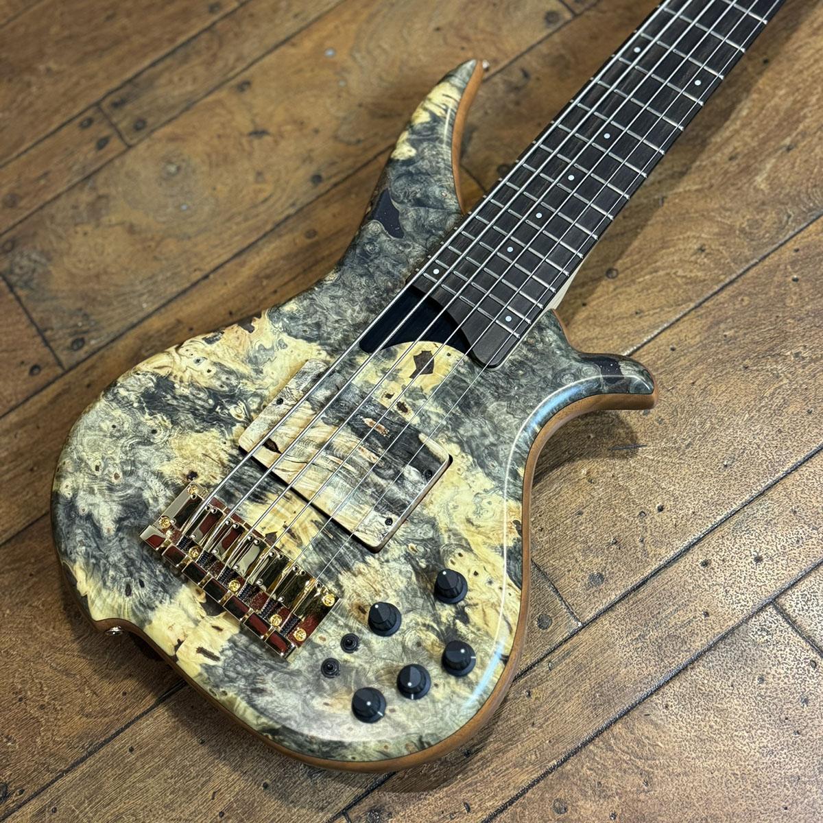 TWB-6 EX HYB-III Buckeye Burl Top Custom Pickups TUNE