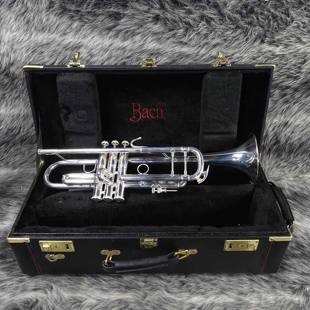 180ML37SP Bach トランペット トランペット（Bフラット） 商品詳細 