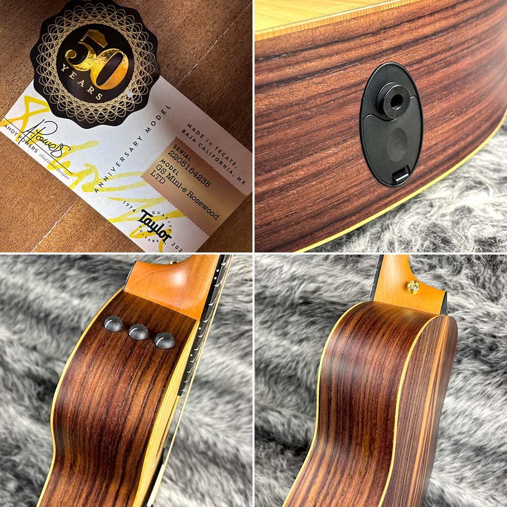 Taylor GS mini 50周年記念モデル 50th Anniversary GS Mini-e Rosewood LTD Taylor エレクトリック