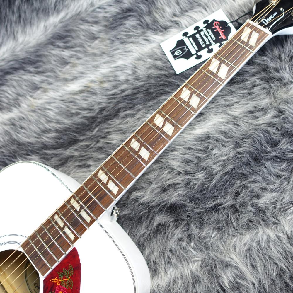 Limited Edition Dove PRO Alpine White Epiphone アコースティック