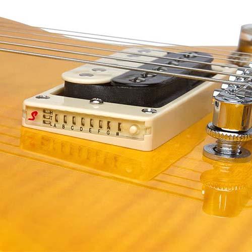 Slash Appetite Les Paul Special-II Performance Pack Appetite Amber