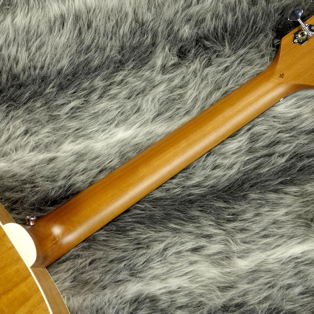 D-240E Flamed Mahogany Natural Guild エレクトリック