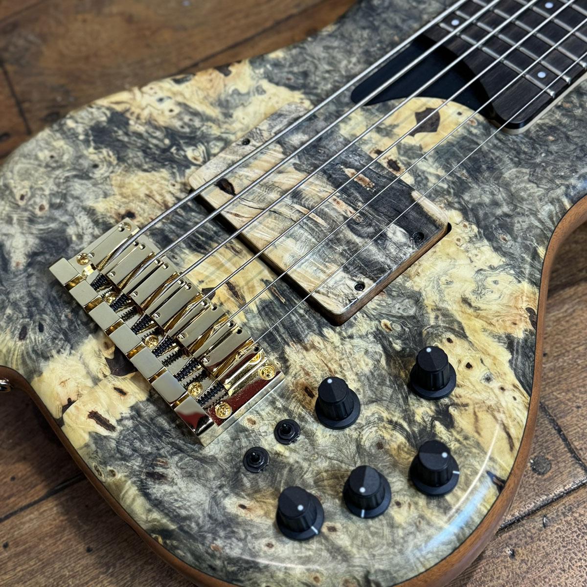 TWB-6 EX HYB-III Buckeye Burl Top Custom Pickups TUNE