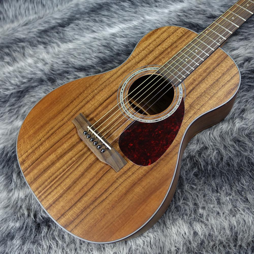 CE55C-K【チョイ傷特価品】 Cat's Eyes アコースティックギター