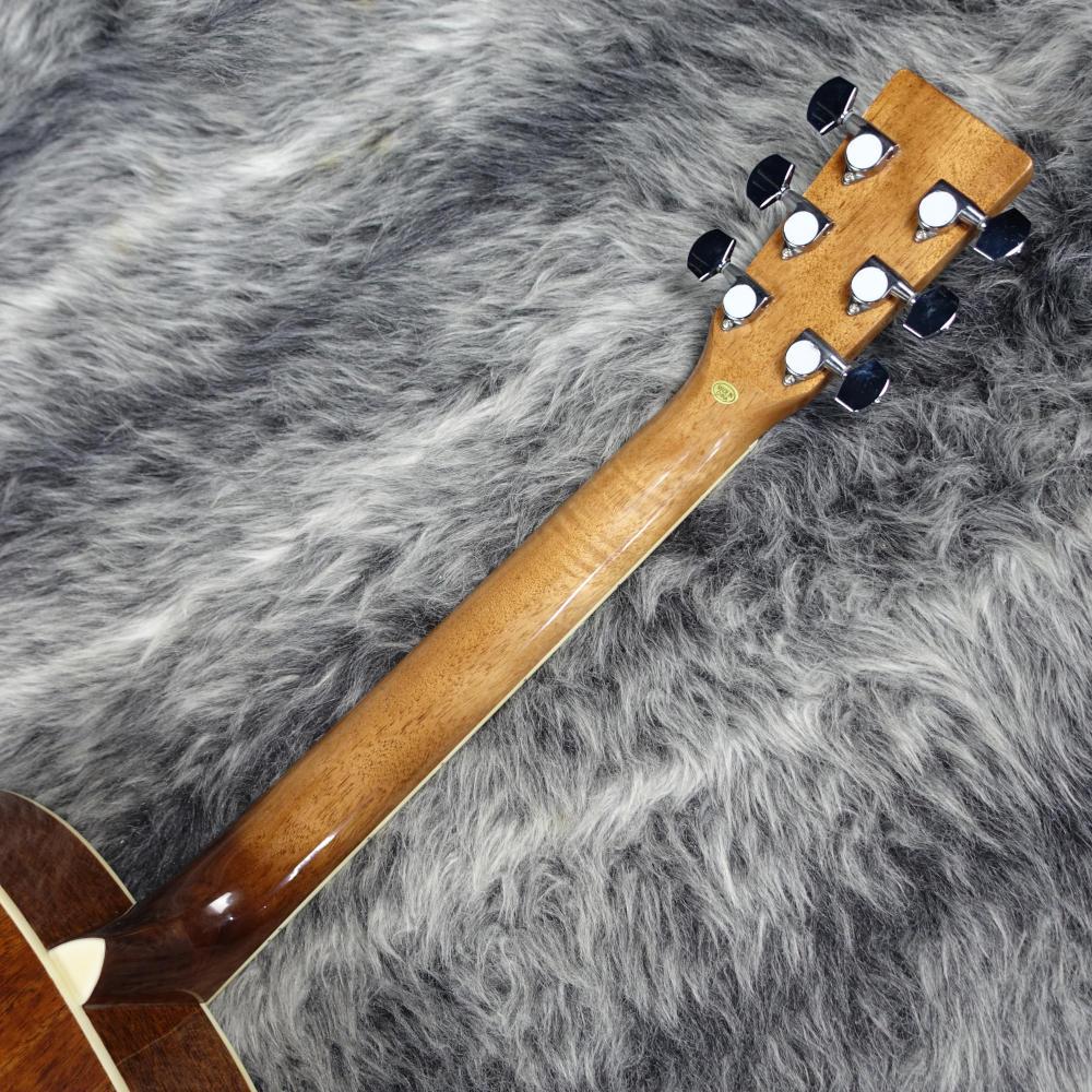 CE28T-N Cat's Eyes アコースティックギター フラットトップ 商品詳細