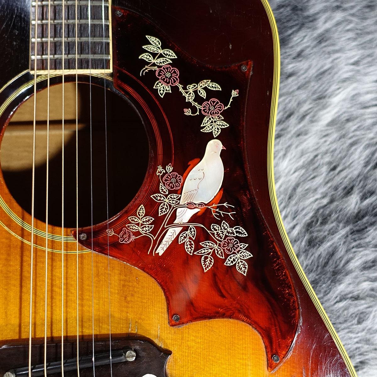 Dove Sunburst 1969 Gibson アコースティックギター フラットトップ