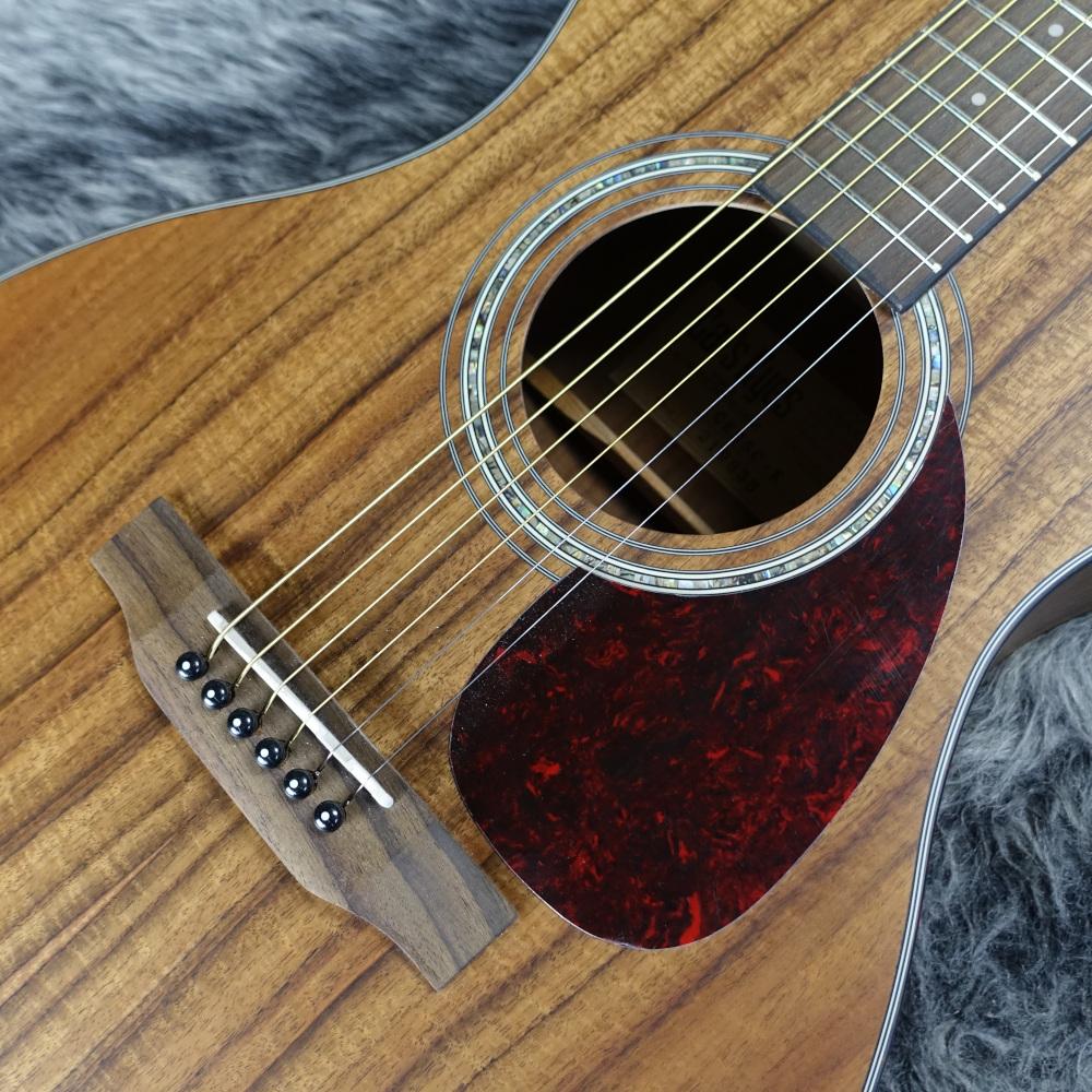 CE55C-K【チョイ傷特価品】 Cat's Eyes アコースティックギター