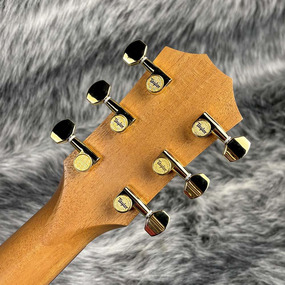 50th Anniversary GS Mini-e Rosewood LTD Taylor エレクトリック