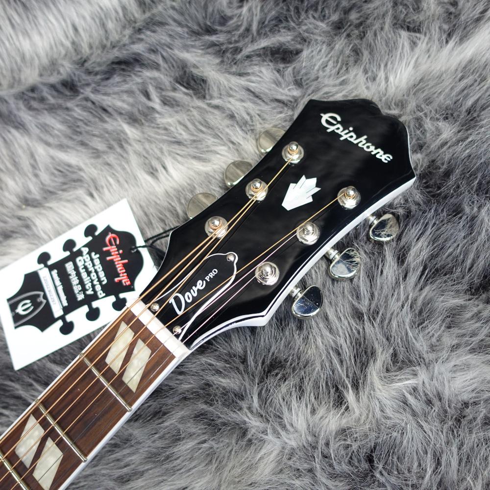 Limited Edition Dove PRO Alpine White Epiphone アコースティック