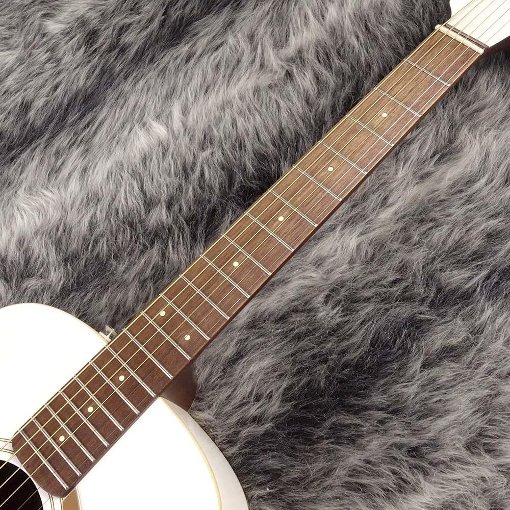 Fender Malibu Player Arctic Gold エレアコ Fender フェンダー Malibu Player Arctic Gold【アコースティック