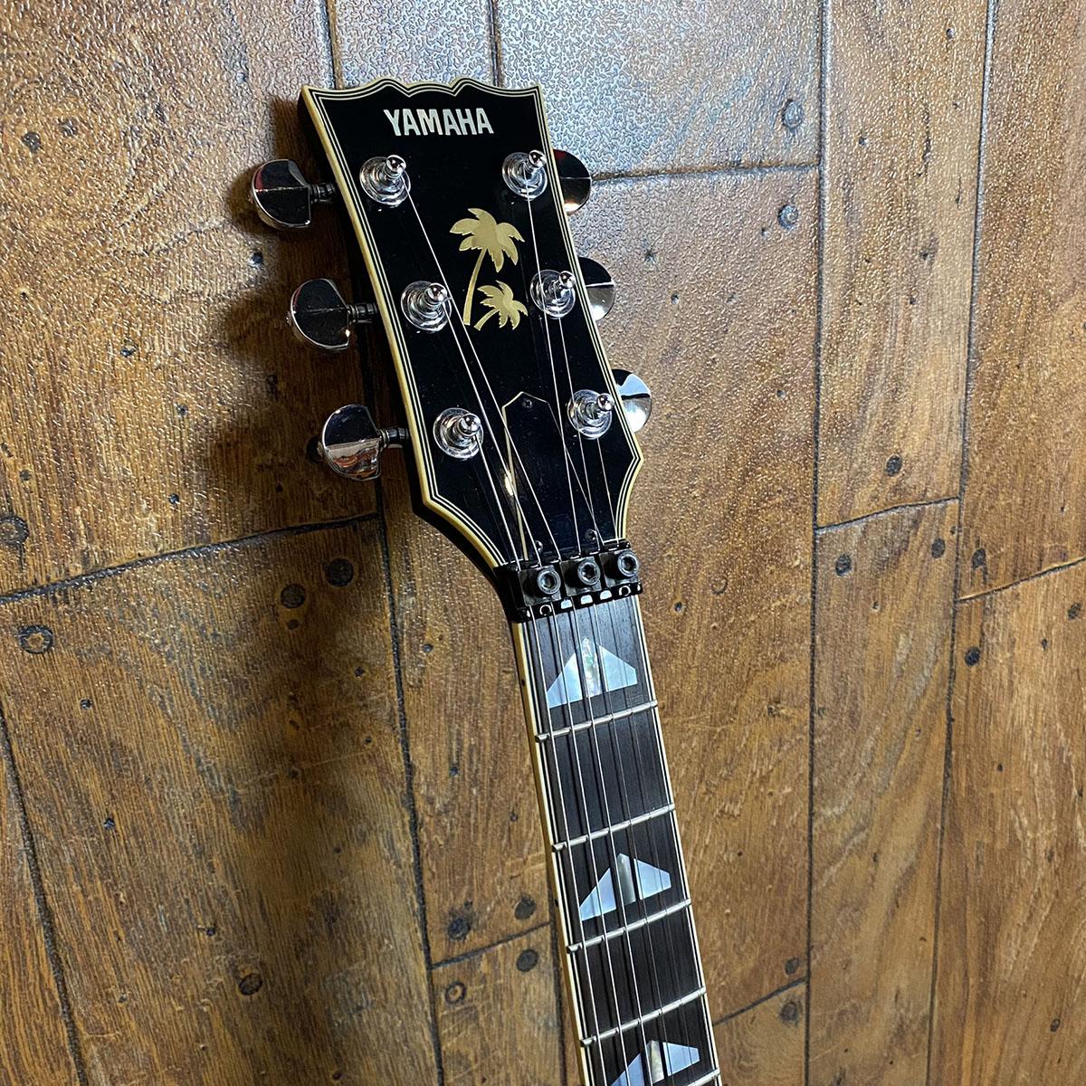 SG-T Takanaka Masayoshi Signature See Through Navy SG-T